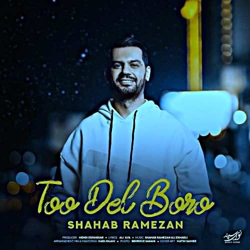 دانلود آهنگ شهاب رمضان تو دل برو