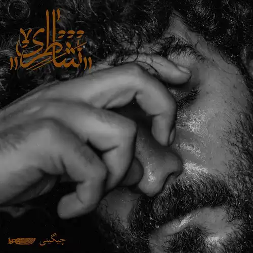 دانلود آهنگ سعل چیگینی شاطری