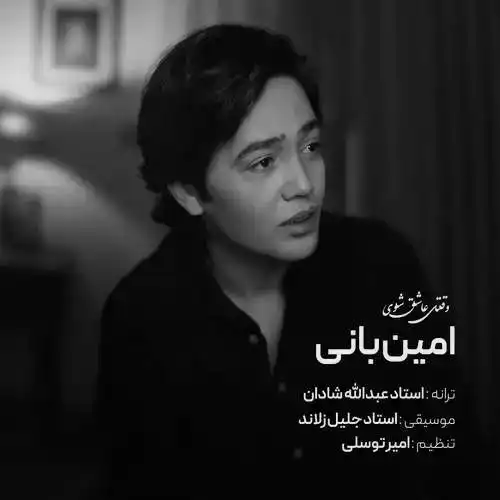 دانلود آهنگ امین بانی وقتی عاشق شوی