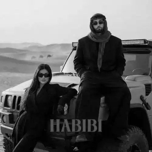 دانلود آهنگ آرتا حبیبی
