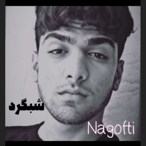 دانلود آهنگ شبگرد نگفتی بری