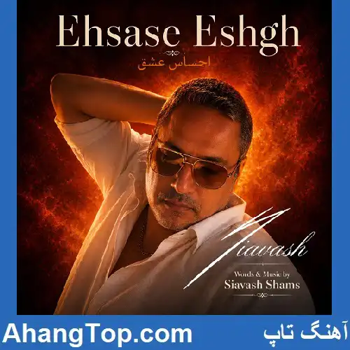 دانلود آهنگ سیاوش شمس احساس عشق